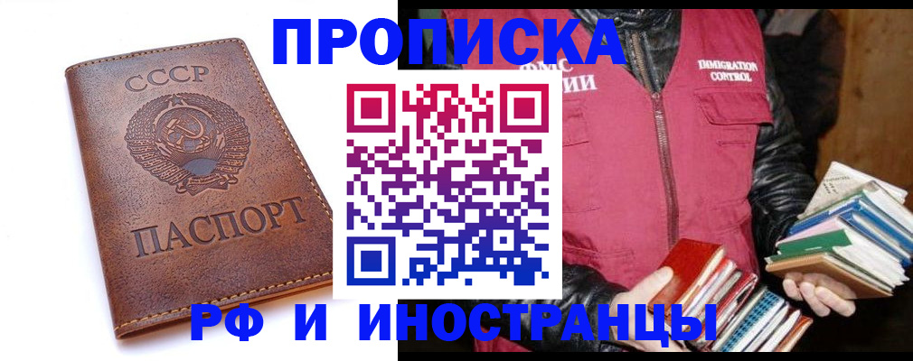 прописка в Камышлове